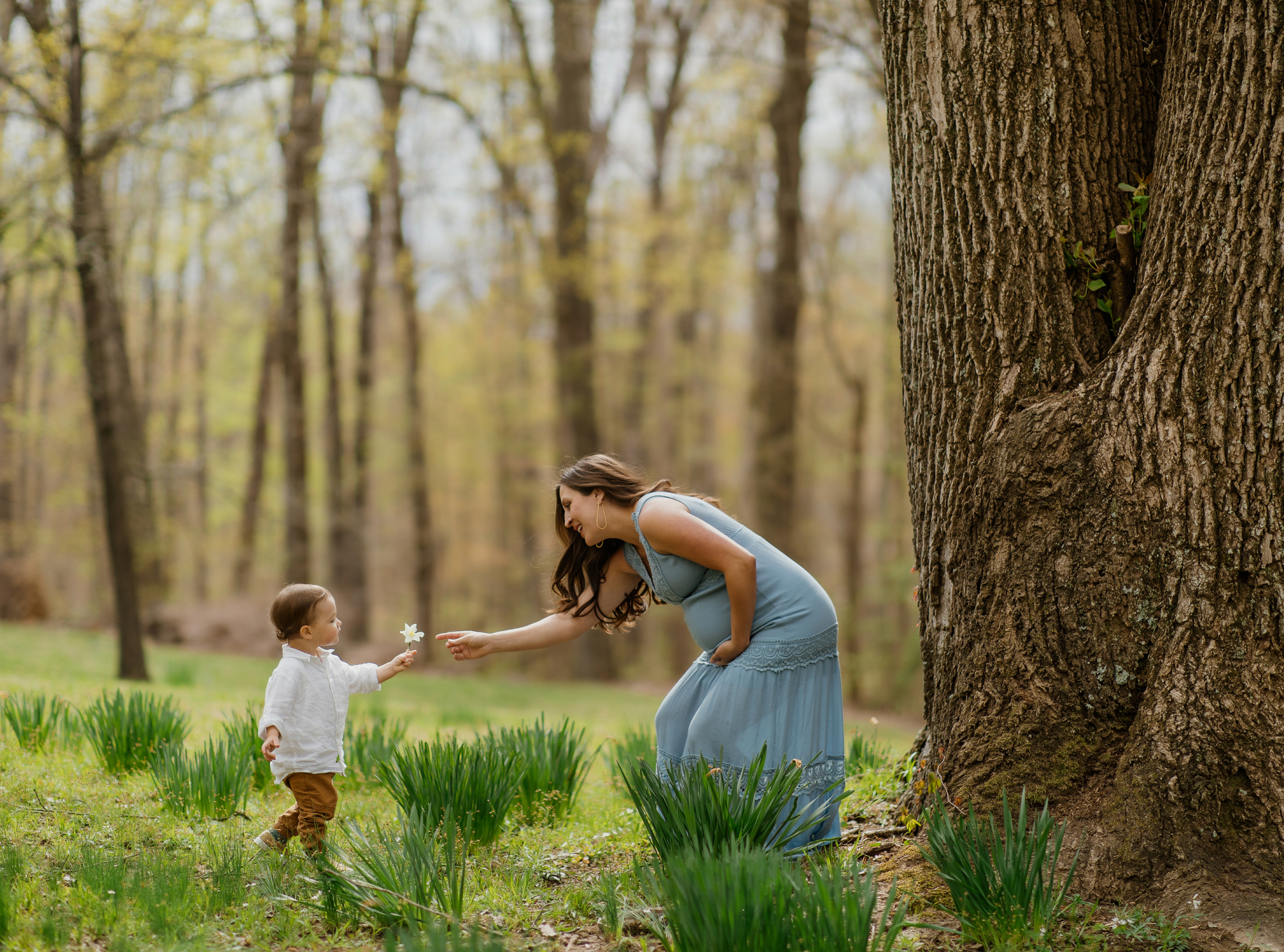 10 Fabulous Photography Locations In and Around Bloomington, Indiana